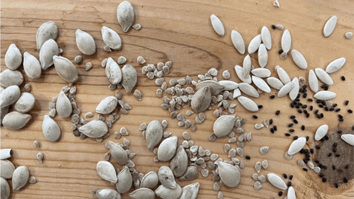 Seed Saving At Afl Hallmark Times